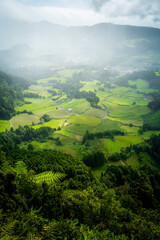Hazy and foggy forest with green fields on a summer afternoon in the Azores