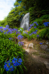 Beautiful waterfall at Parque Natural da Ribeira dos Caldeir&otilde;es on Sao Miguel, Azores