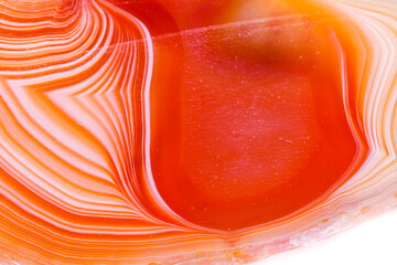 Macro mineral orange agate in crystals on white background