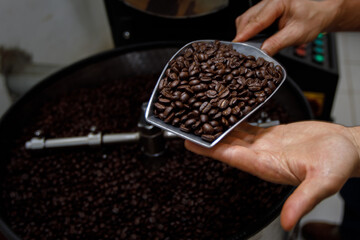 hand holding a probe of fresh roasted coffee beans