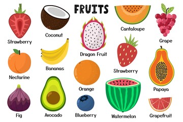 Cute fruits collection. Healthy food isolated elements. Great for recipes, cookbook and vegan prints. Strawberry, coconut, watermelon, papaya, grape and more. Vector illustration