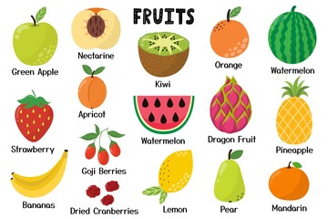 Cute fruits collection. Healthy food isolated elements. Great for recipes, cookbook and vegan prints. Strawberry, coconut, watermelon, papaya, grape and more. Vector illustration