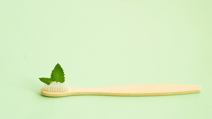 One wooden toothbrush with mint leaves
