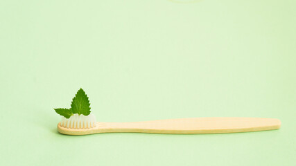 One wooden toothbrush with mint leaves © SEA_Ekaterina