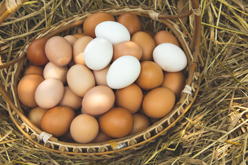 Close-up of Plenty of organic chicken eggs in a wicker basket resting on a straw. is a product from hens that are raised naturally countryside or free range style.