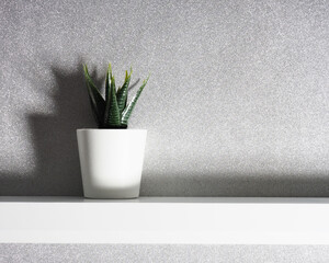 One pot with a plant on the shelf, silver in the background, space for text