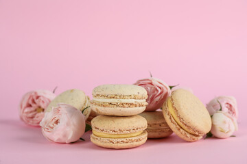 Delicious macarons and roses on pink background, space for text