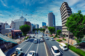 Naklejka premium A traffic jam at the avenue in the downtown in Tokyo fish eye shot