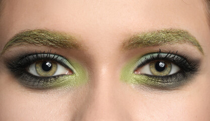 Obraz premium Young woman with evening makeup, closeup. Eye shadow product