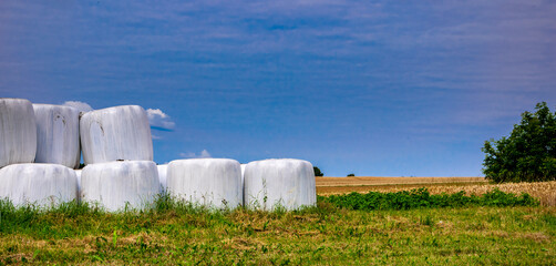 Bale siana na polu © Paweł Kacperek