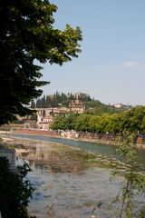 Naklejka premium A scenic hilltop town in Tuscany in Italy with the river flowing in the foreground framed by a tree