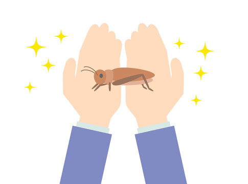 Kare Photos Images Assets Adobe Stock