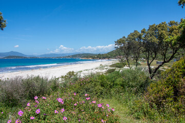 discovery of the island of beauty in southern Corsica, France