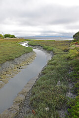 A small stream flows out through the Burlingame Shore Bird Sanctuary in San Francisco Bay in California.