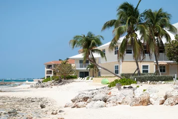 Crédence de cuisine en verre imprimé Plage de Seven Mile, Grand Cayman Grand Cayman Island Seven Mile Beach With Leaning Palms