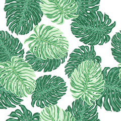 Naklejka na ściany i meble Isolated botany seamless pattern with green random monstera lead shapes. White background.