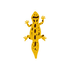 Vector flat illustration of leopard gecko top view. Yellow lizard in brown spots isolated on white background.
