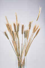 Vertical shot bouquet of wheat or rye ears in the glass vase.