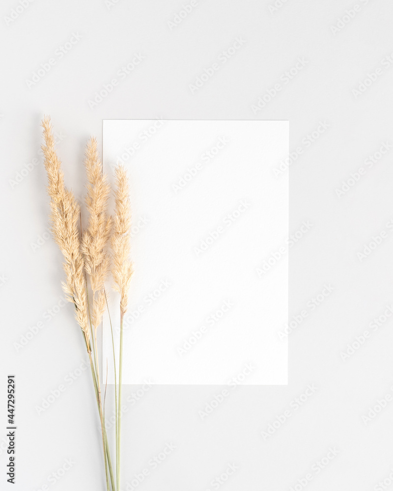 Wall mural white invitation card mockup flat lay with a three dry pampass grass branches