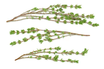 fresh thyme isolated on a white background with clipping path and full depth of field, Top view. Flat lay © kolesnikovserg