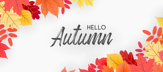 Hello autumn falling leaves. Autumnal foliage fall and poplar leaves. Autumn design. Templates for placards, banners, flyers, presentations, reports.