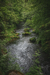 Fototapeta premium Beautiful river in the forest, Kamenice river, Hrensko