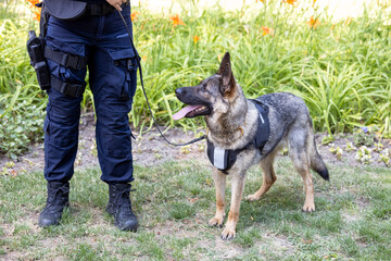 Policewoman with German shepherd police dog