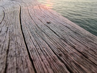 Wasser