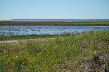 Calm water and green steppe of the Tiligulsky estuary reserve in the Odessa region