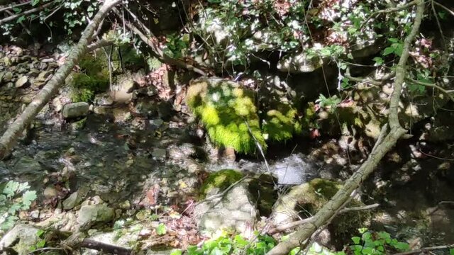 Piccola cascata nel ruscello a Secchiano nelle Marche