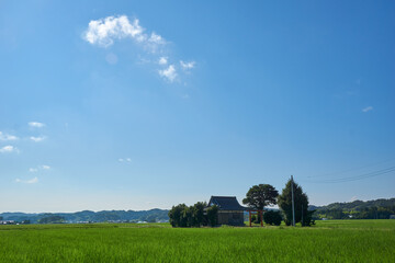夏の田園と祠　いすみ市