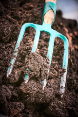Garden wheelbarrow with compost and gardening tools