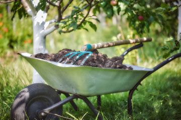 Garden wheelbarrow with compost and gardening tools - obrazy, fototapety, plakaty
