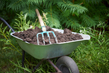 Garden wheelbarrow with compost and gardening tools - obrazy, fototapety, plakaty