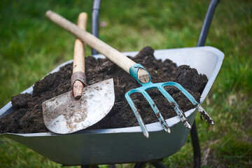 Garden wheelbarrow with compost and gardening tools