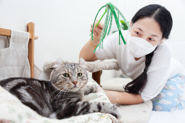 An adorable cat is playing with owner. women wearing hygienic mask to prevent the virus Coronavirus...