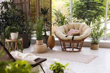 Indoor terrace interior with soft papasan chair and green plants - obrazy, fototapety, plakaty
