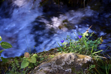 A stream with clear spring water feeding the Plakun waterfall