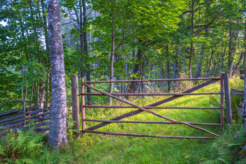 Gate to at a meadow in the woodland