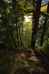 Sun flare on the water