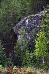 One of the rocks of the plaster outcrop Gray stone