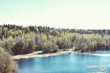 lake and forest