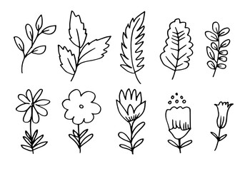 a collection of hand-drawn flower images such as bellflower, chrysanthemums, sunflowers, cotton flowers, and tropical leaves