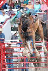 A cowboy riding a bucking bronco 