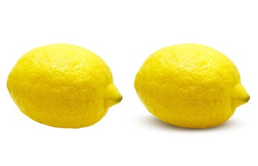 レモン イラスト リアル セット 2