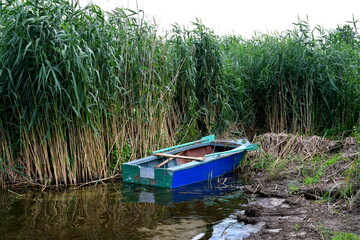 A view of an old abandoned wooden boat or other passenger vessel moored next to very tall reeds and other flora near a muddy coast or bank of a shallow river or lake in Poland