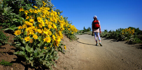 Fototapeta premium Young Girl Hiking on Trail with Wildflowers