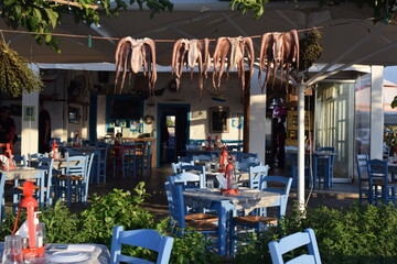 Tintenfische trocknen in der Sonne auf Paros © Roland