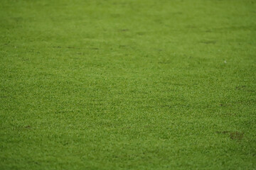 Synthetic green grass of a football field, highlighted by its texture
