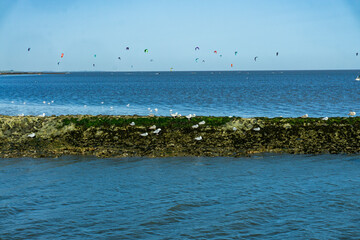 Spiekeroog
